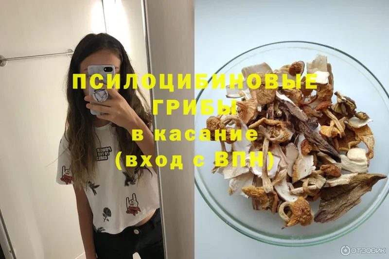 цены   Слободской  Галлюциногенные грибы MAGIC MUSHROOMS 